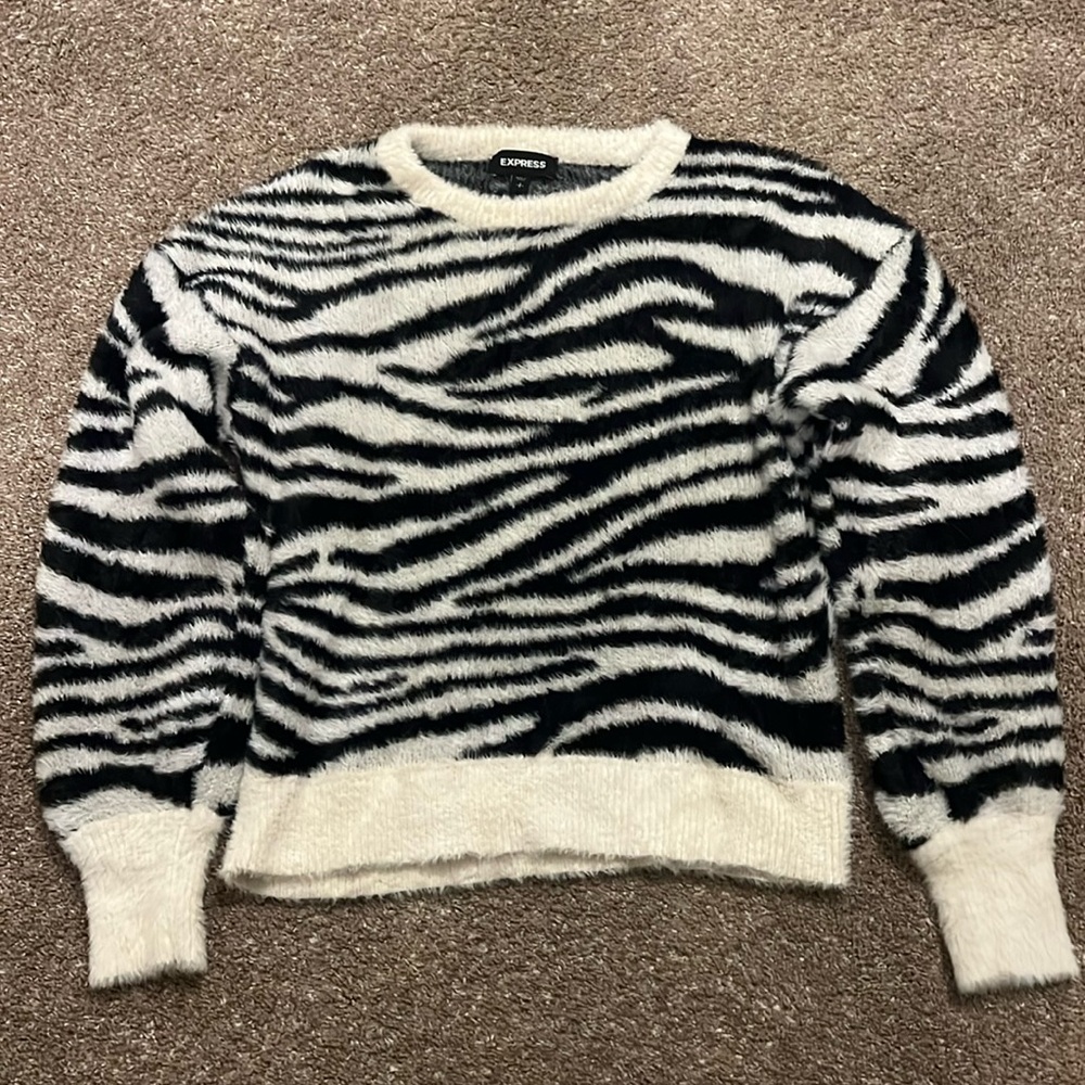 Express Zebra Sweater